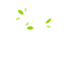 Green Boutique Hotels